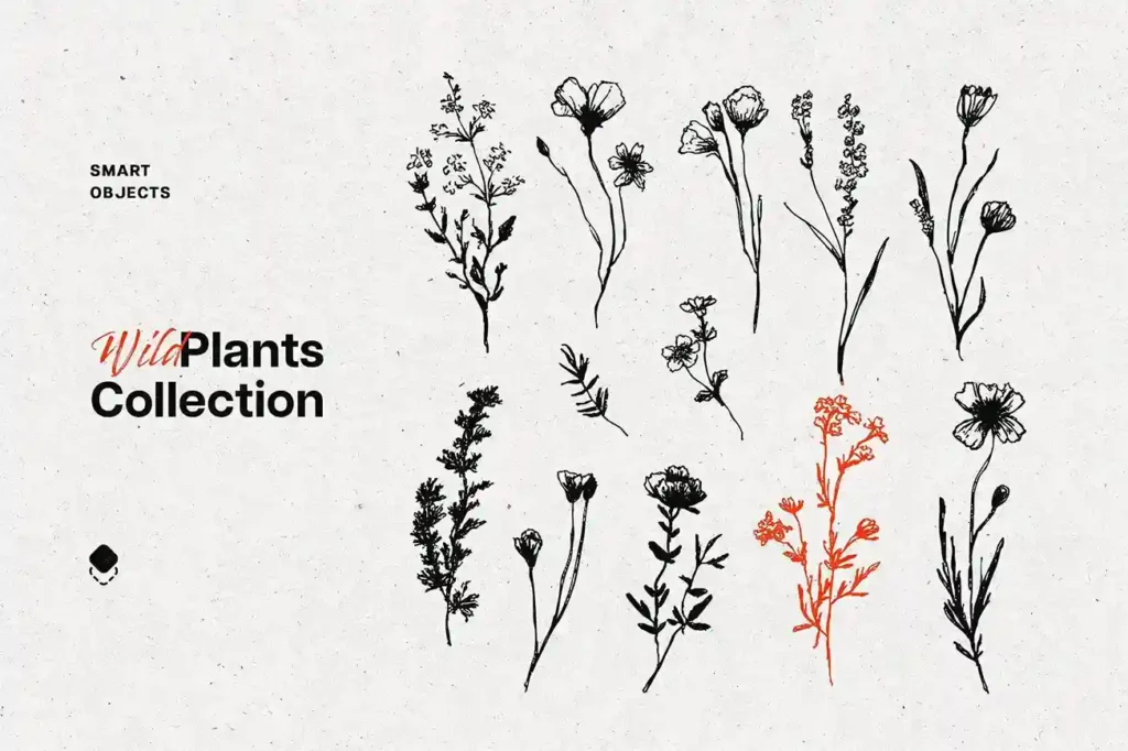 
									Free 36 Wild Plants Line Arts