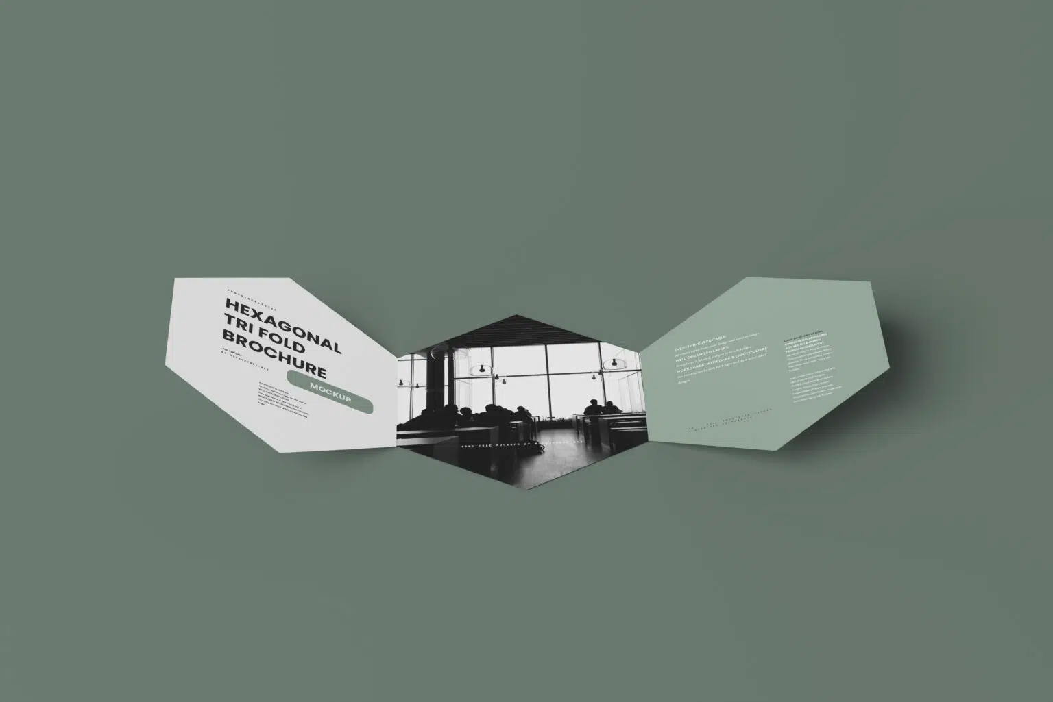 Free-Hexagonal-Tri-Fold-Brochure-Mockup-sets.webp