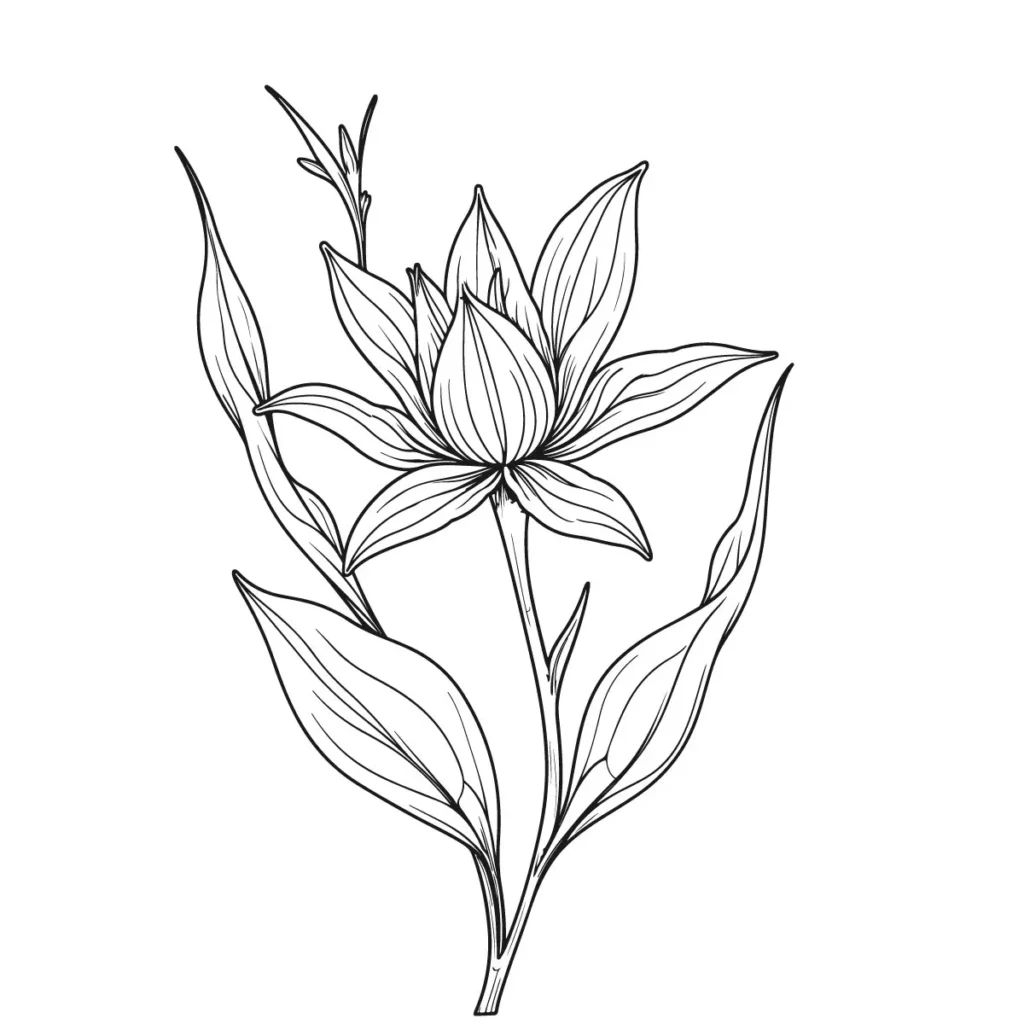 
									Elegant Botanical Line Art for Versatile Design Projects