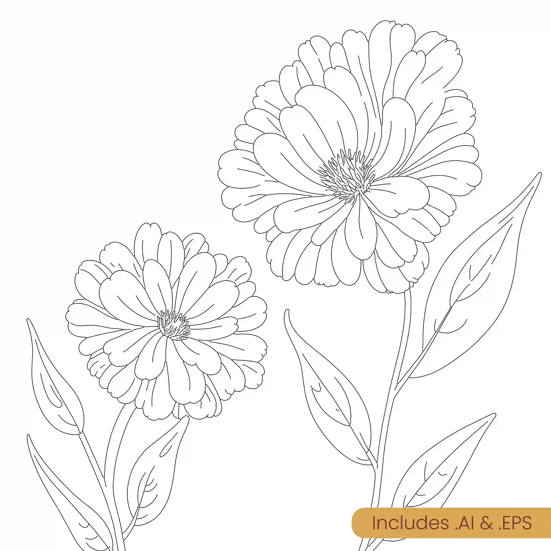 floral-background1_11zon.webp