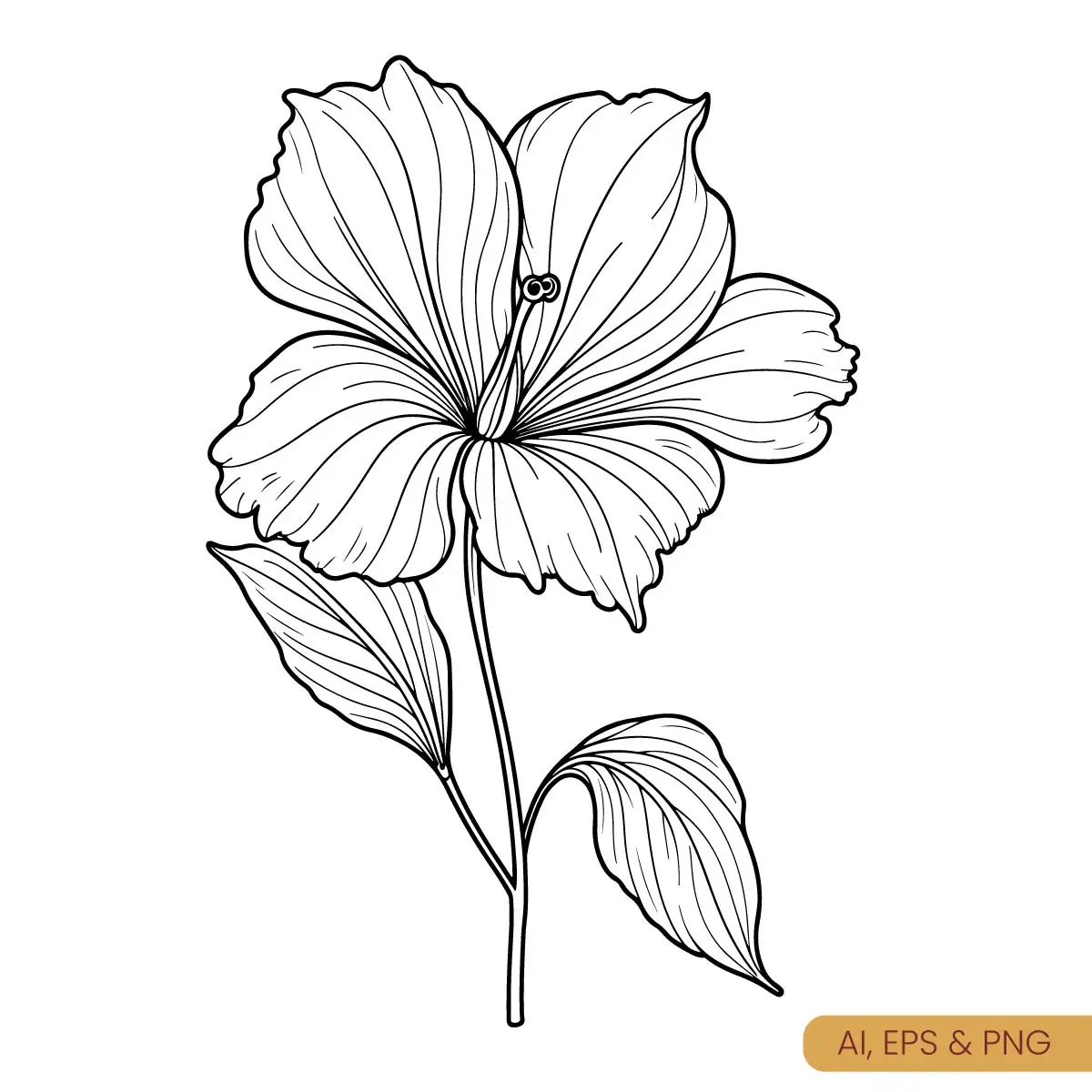 floral-line-art-of-lws_11zon.webp