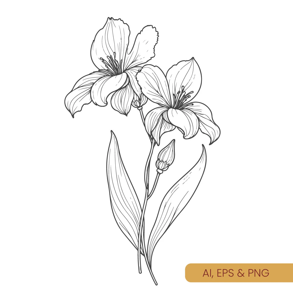 flower1-line-art.webp