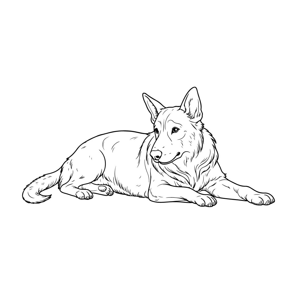 german-shepard-dog.webp