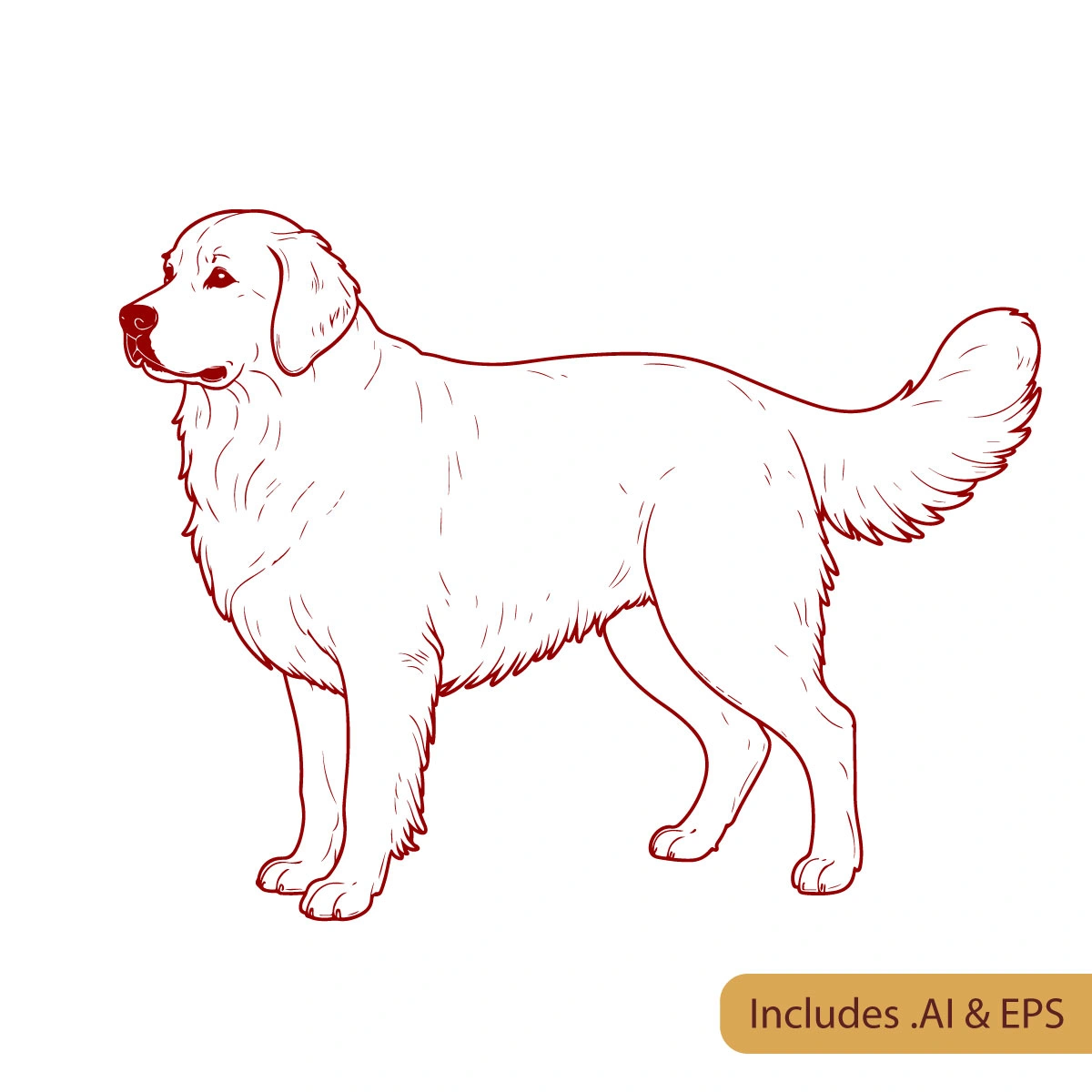 golden-retriever-12.webp