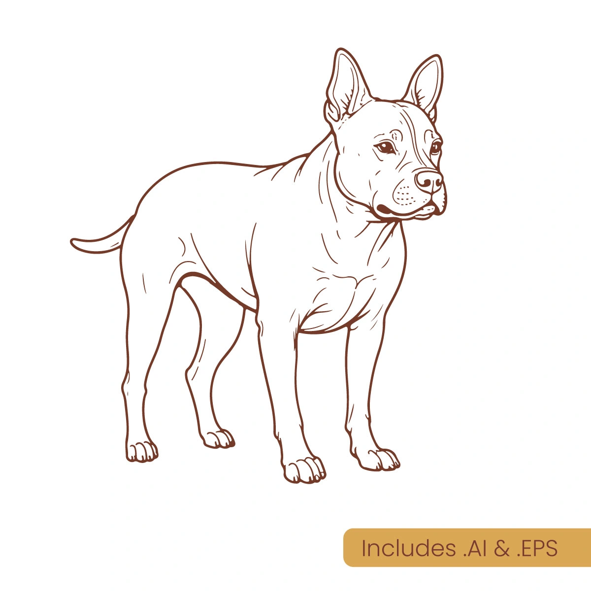 pitbull-dog1s.webp
