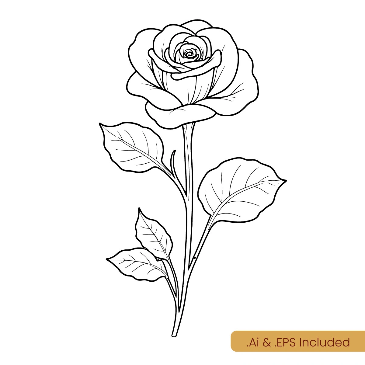 rose-line-art1.webp