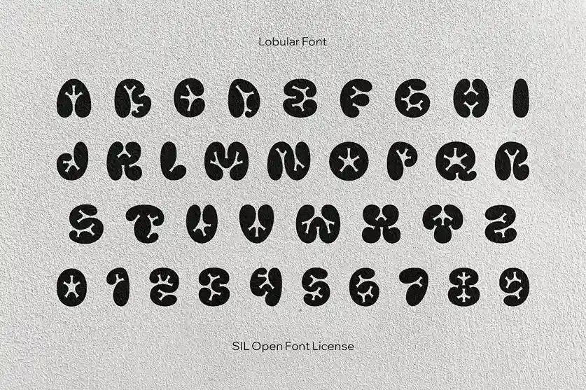 Lobular Display Font – Bubbly Graffiti Style Typography1