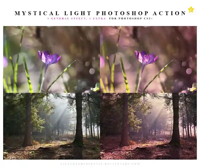 Mystical Light — DeviantArt (by Megan Joy)