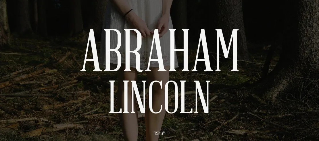 abraham-lincoln-1110x492-c6cdd73ede